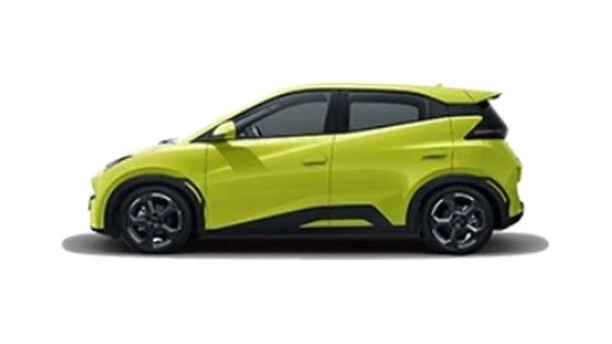 BYD Dolphin Surf